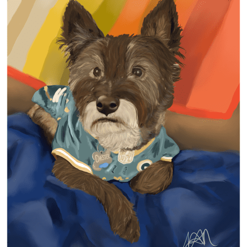 Custom Art Bundle - for Chester the Investor