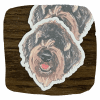 Sophie 3" Sticker - Image 2