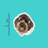 Sophie 3" Sticker